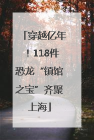穿越亿年！118件恐龙“镇馆之宝”齐聚上海