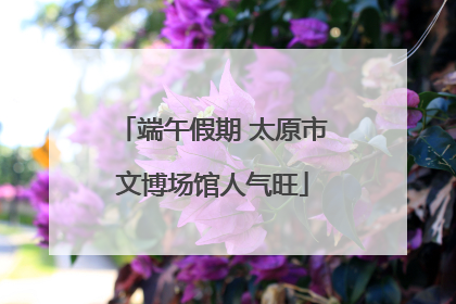 端午假期 太原市文博场馆人气旺