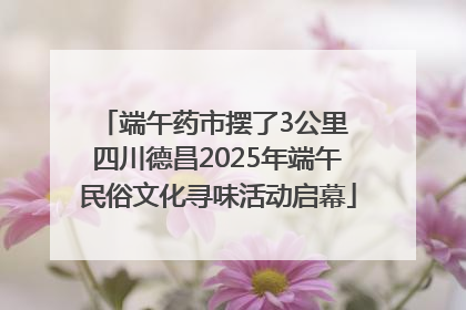 端午药市摆了3公里 四川德昌2025年端午民俗文化寻味活动启幕