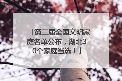第三届全国文明家庭名单公布，湖北30个家庭当选！