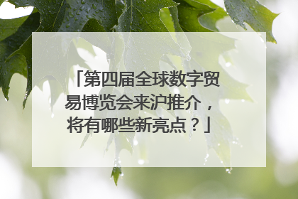 第四届全球数字贸易博览会来沪推介，将有哪些新亮点？