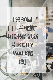 第30届“白玉兰绽放”电视节临港新片区CITY WALK路线