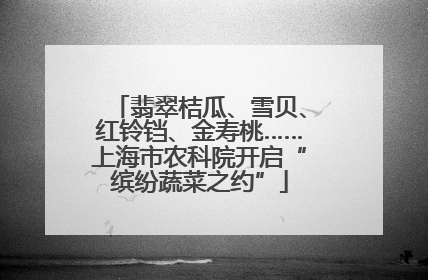 翡翠桔瓜、雪贝、红铃铛、金寿桃……上海市农科院开启“缤纷蔬菜之约”