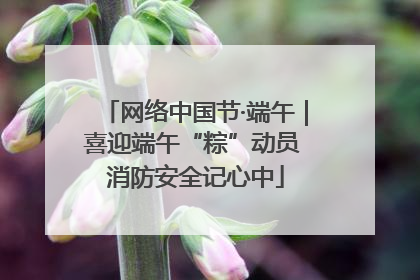 网络中国节·端午｜喜迎端午“粽”动员 消防安全记心中