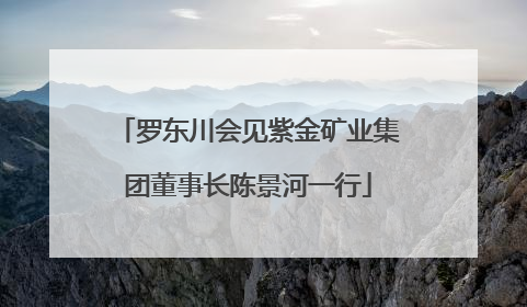 罗东川会见紫金矿业集团董事长陈景河一行