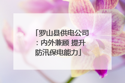 罗山县供电公司：内外兼顾 提升防汛保电能力