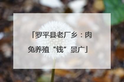 罗平县老厂乡：肉兔养殖“钱”景广