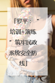 罗平：“培训+演练”筑牢民政系统安全防线