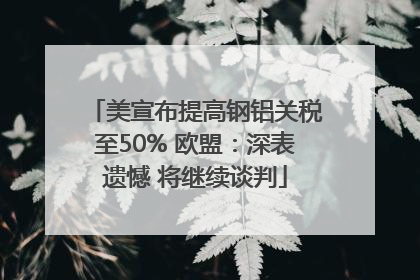 美宣布提高钢铝关税至50% 欧盟：深表遗憾 将继续谈判