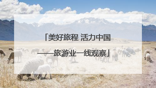 美好旅程 活力中国——旅游业一线观察