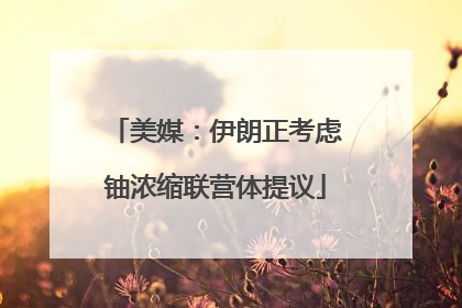 美媒：伊朗正考虑铀浓缩联营体提议