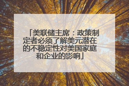 美联储主席：政策制定者必须了解美元潜在的不稳定性对美国家庭和企业的影响