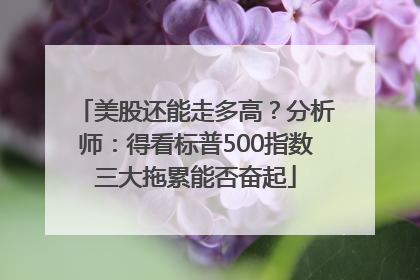 美股还能走多高？分析师：得看标普500指数三大拖累能否奋起