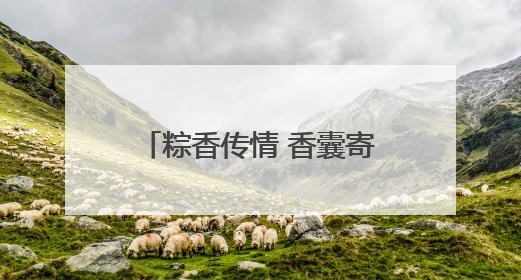 粽香传情 香囊寄意——驻马店市台办举办“喜迎双节 两岸联谊”活动