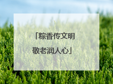 粽香传文明 敬老润人心