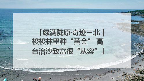 绿满陇原·奇迹三北｜梭梭林里种“黄金” 高台治沙致富很“从容”