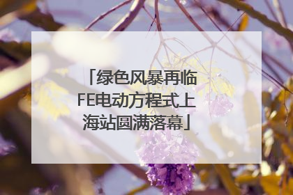 绿色风暴再临 FE电动方程式上海站圆满落幕