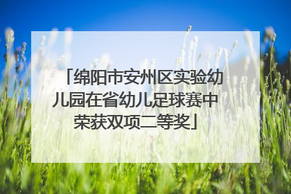 绵阳市安州区实验幼儿园在省幼儿足球赛中荣获双项二等奖