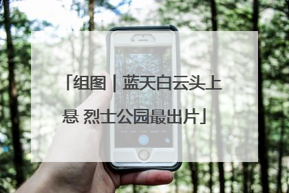 组图｜蓝天白云头上悬 烈士公园最出片