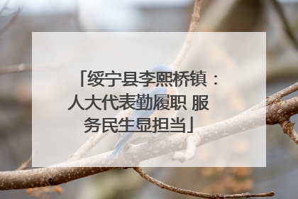 绥宁县李熙桥镇：人大代表勤履职 服务民生显担当