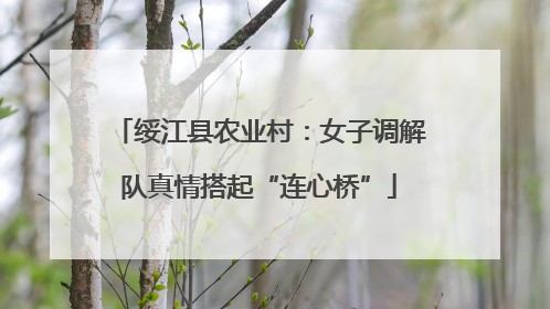 绥江县农业村：女子调解队真情搭起“连心桥”