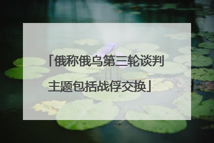 俄称俄乌第三轮谈判主题包括战俘交换
