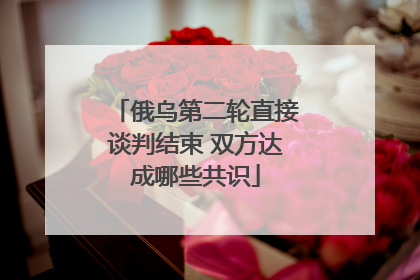 俄乌第二轮直接谈判结束 双方达成哪些共识