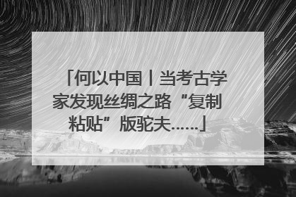 何以中国丨当考古学家发现丝绸之路“复制粘贴”版驼夫……