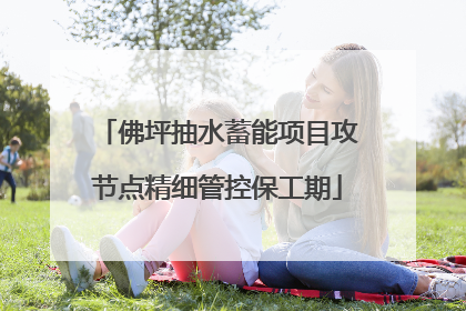 佛坪抽水蓄能项目攻节点精细管控保工期