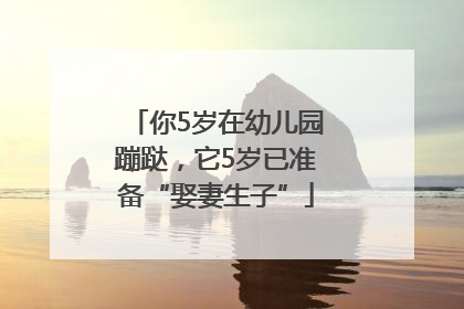 你5岁在幼儿园蹦跶，它5岁已准备“娶妻生子”