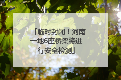 临时封闭！河南一地6座桥梁将进行安全检测