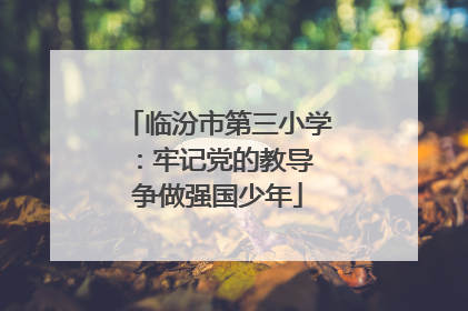临汾市第三小学：牢记党的教导 争做强国少年