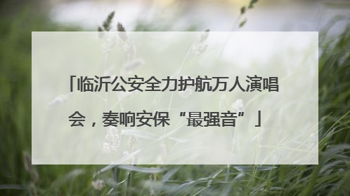 临沂公安全力护航万人演唱会，奏响安保“最强音”