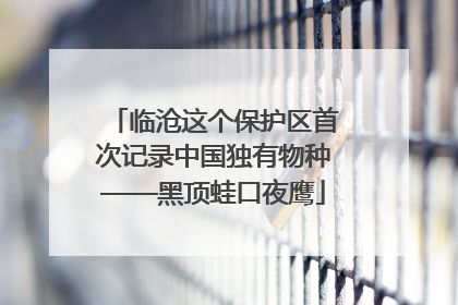 临沧这个保护区首次记录中国独有物种——黑顶蛙口夜鹰