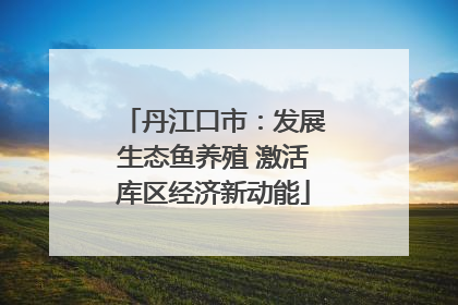 丹江口市：发展生态鱼养殖 激活库区经济新动能