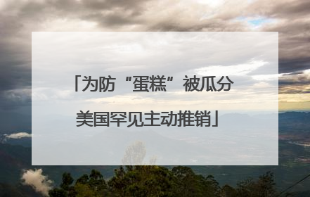 为防“蛋糕”被瓜分 美国罕见主动推销