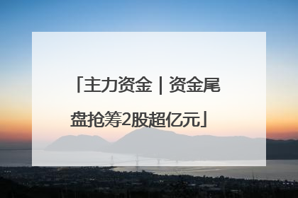 主力资金｜资金尾盘抢筹2股超亿元