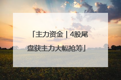 主力资金｜4股尾盘获主力大幅抢筹