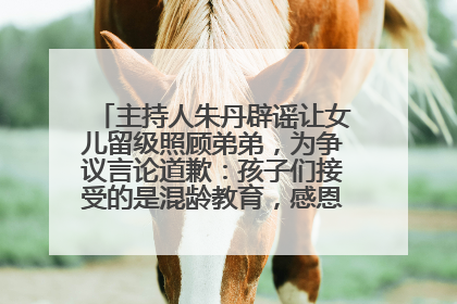 主持人朱丹辟谣让女儿留级照顾弟弟，为争议言论道歉：孩子们接受的是混龄教育，感恩每一条批评