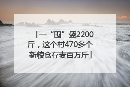一“囤”盛2200斤，这个村470多个新粮仓存麦百万斤