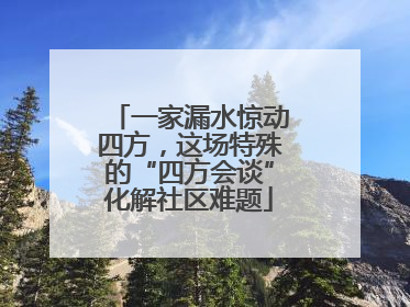 一家漏水惊动四方，这场特殊的“四方会谈”化解社区难题