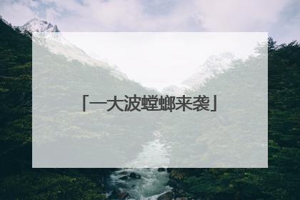 一大波螳螂来袭