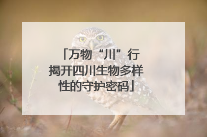 万物“川”行 揭开四川生物多样性的守护密码