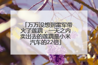 万万没想到雷军带火了莲藕，一天之内卖出去的莲藕是小米汽车的22倍
