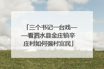 三个书记一台戏——看泗水县金庄镇辛庄村如何强村富民