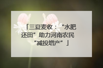 三夏麦收：“水肥还田”助力河南农民“减投增产”