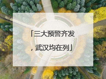 三大预警齐发，武汉均在列