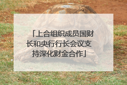 上合组织成员国财长和央行行长会议支持深化财金合作