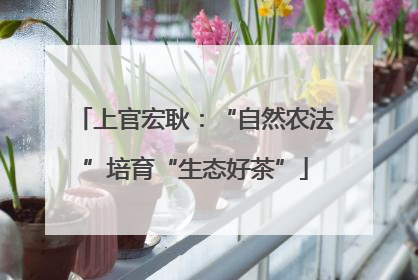 上官宏耿：“自然农法”培育“生态好茶”
