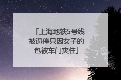 上海地铁5号线被逼停只因女子的包被车门夹住